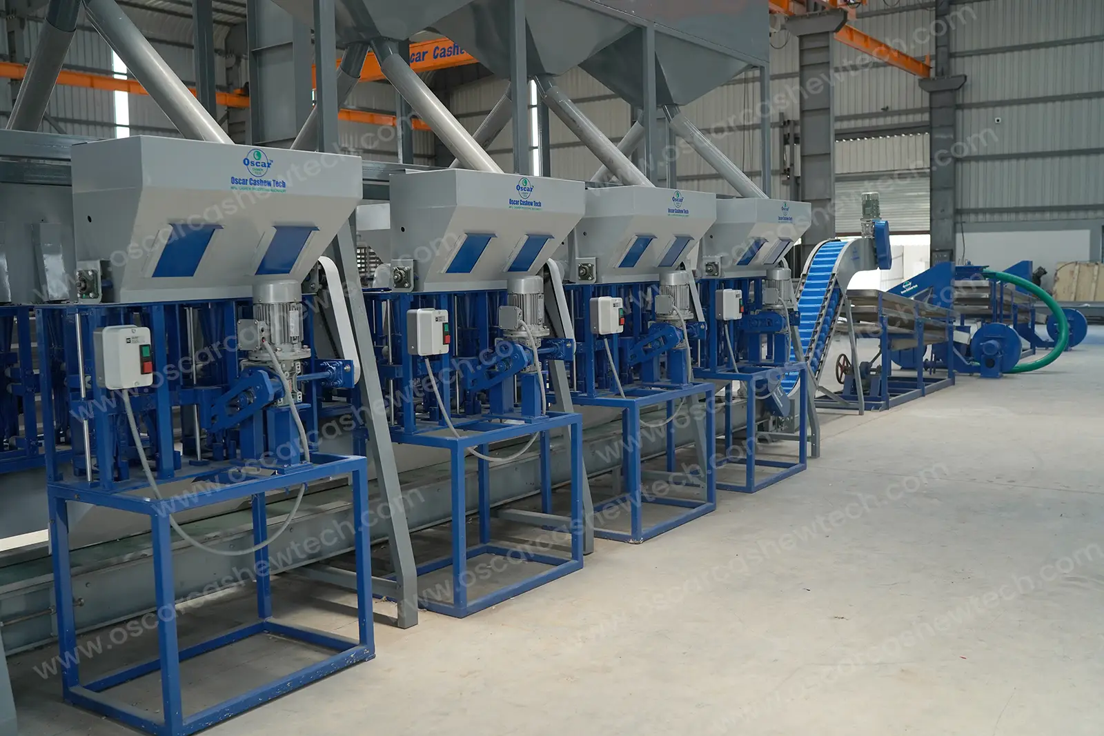 Automatic Cashew Nut Peeling Machine manufacturer