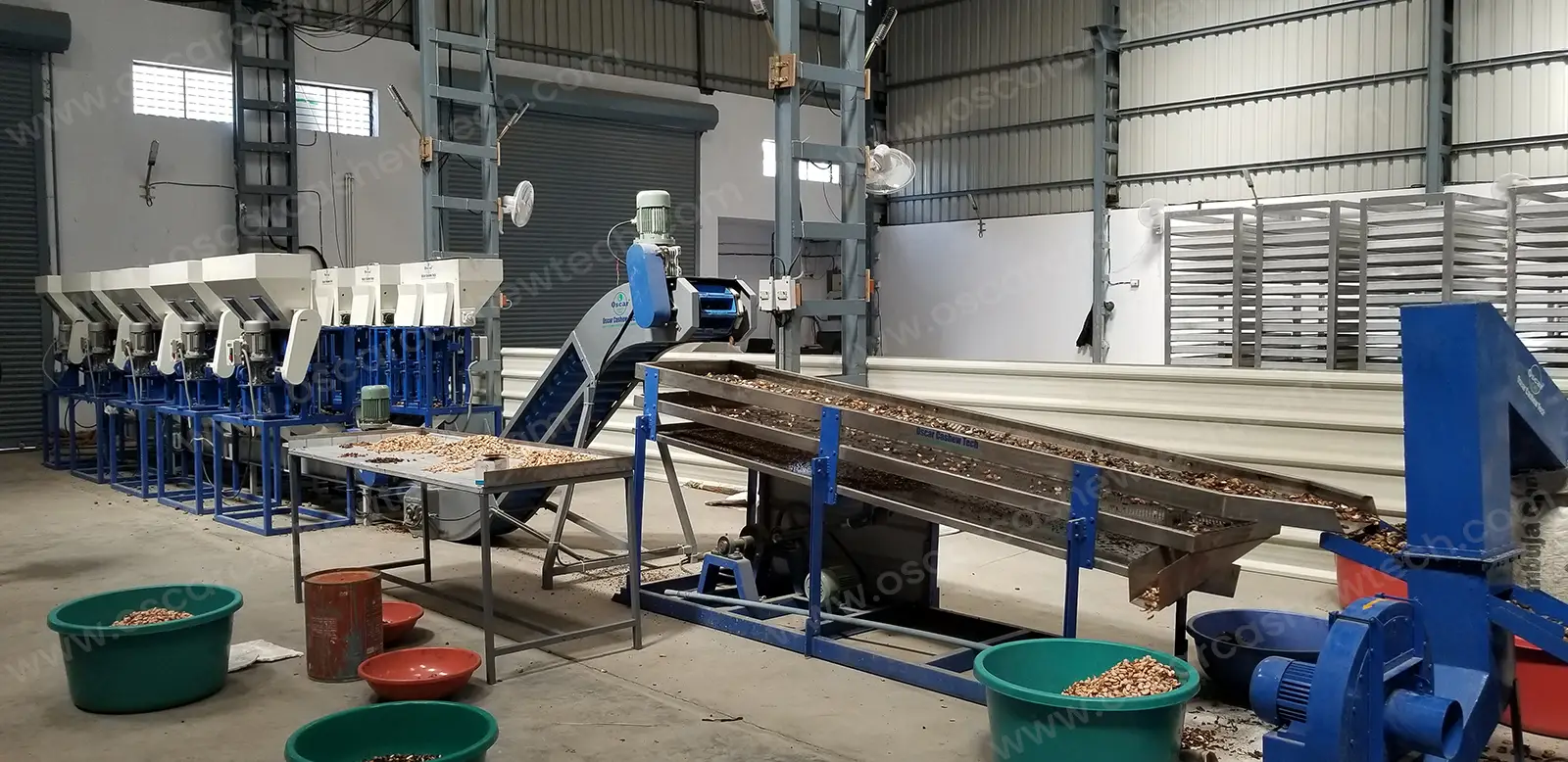 Fully Automatic Cashew Nut Processing Plant in india